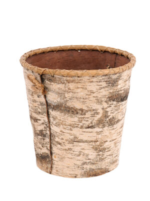 Birch Bark Bucket