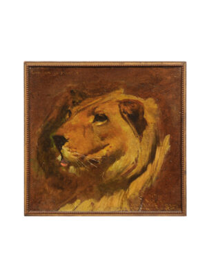 Framed Oil on Board Painting of a Lion